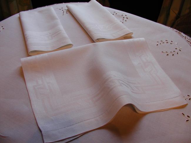 Georgeous pair of vintage bath towels in damask of linen with fringes