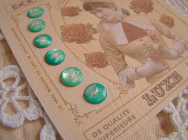 Lovely card with 6 antique engraved buttons in mother of pearl, green color