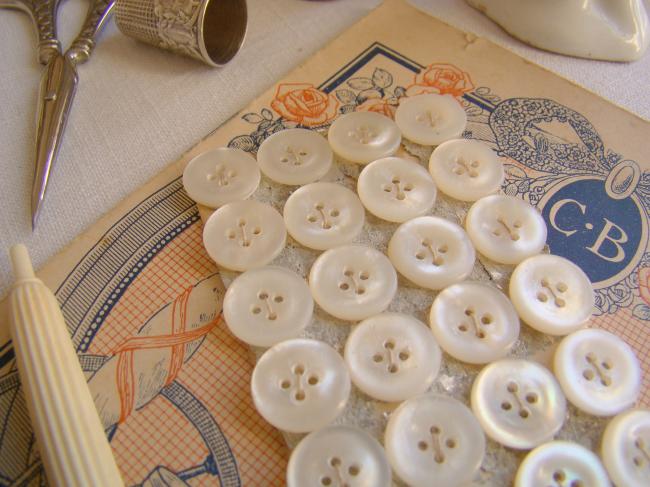 Antique card with 36 engraved buttons in mother of pearl, 1900 (13mm 4 holes)