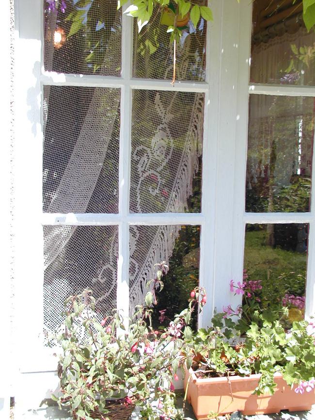 Superb and long curtain in fillet lace with roses and vase 1920