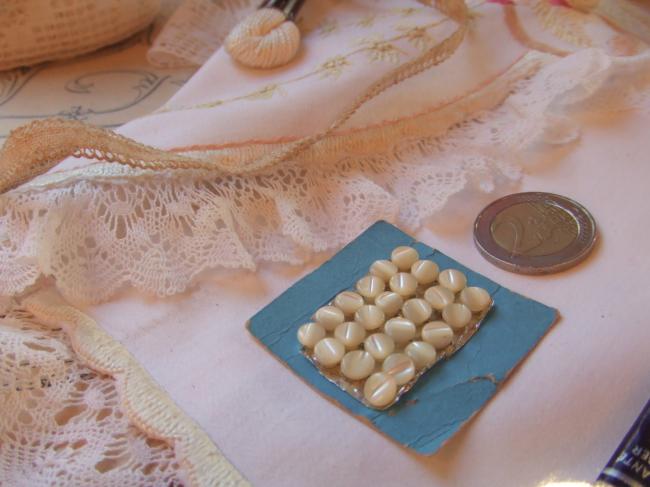 Très mini boutons en nacre taillés dans la nacre, grain de riz, pour poupée