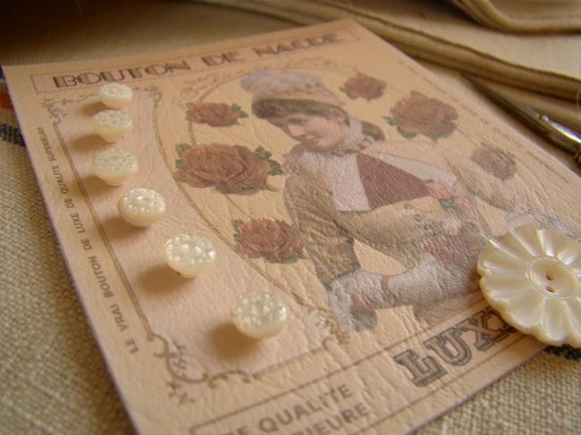 Carte de 6 miniscules boutons anciens de poupée en nacre gravés main Ø 6mm