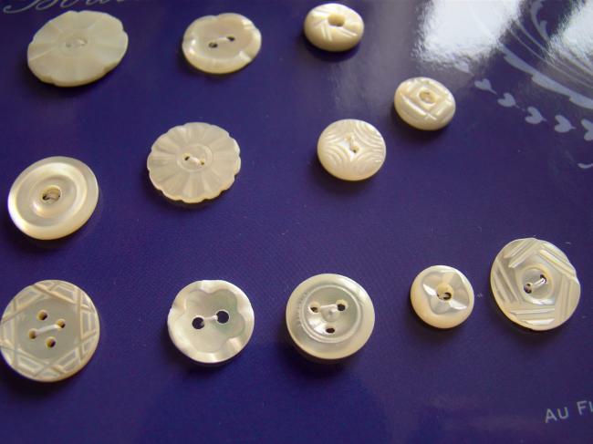 Très jolie collection de 12 boutons anciens en nacre blanche 1900-20