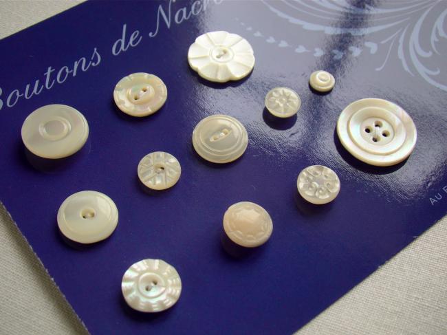 Jolie collection de 12  boutons anciens en nacre blanche 1900-20