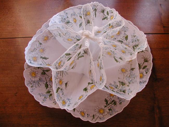 Lovely embroidered cookies basket with daisy and forget-me-not print lawn