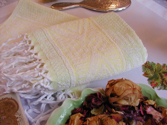 Lovely pair of vintage bath towels in sponge with fringes , light green & yellow