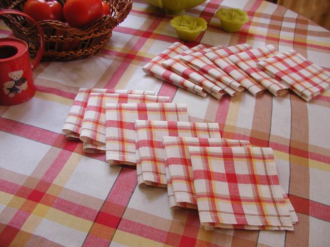 Lovely tablecloth with its 12 tiny serviettes in linen, vichy pattern 1930