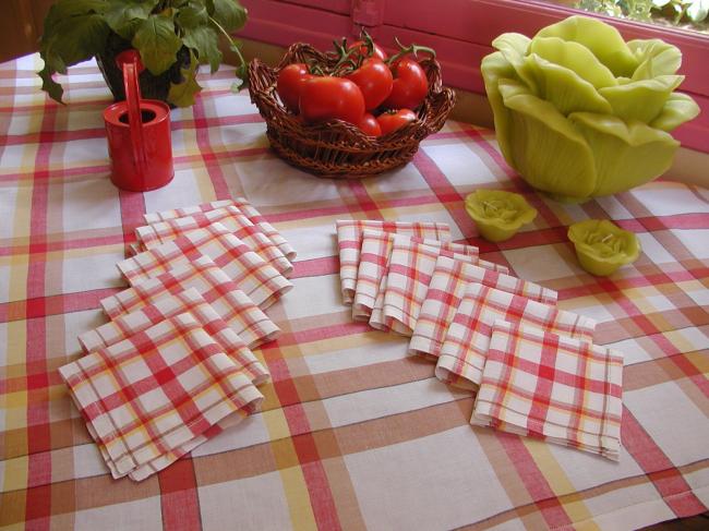 Lovely tablecloth with its 12 tiny serviettes in linen, vichy pattern 1930